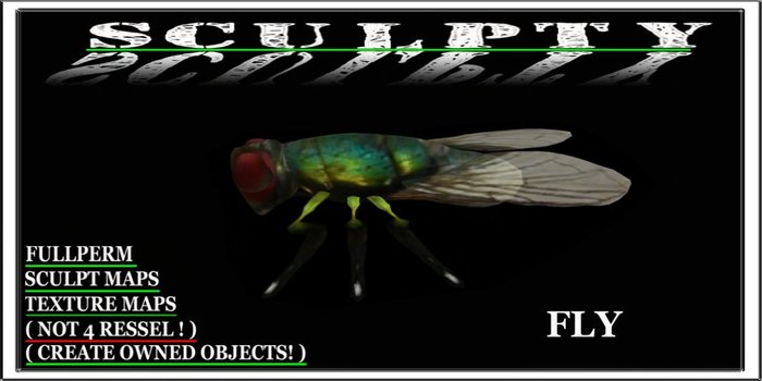 SCULPTY FLY BOXED