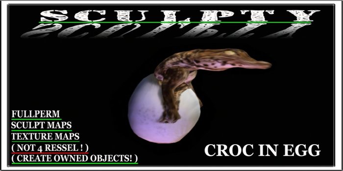 SCULPTY CROC IN EGG BOXED