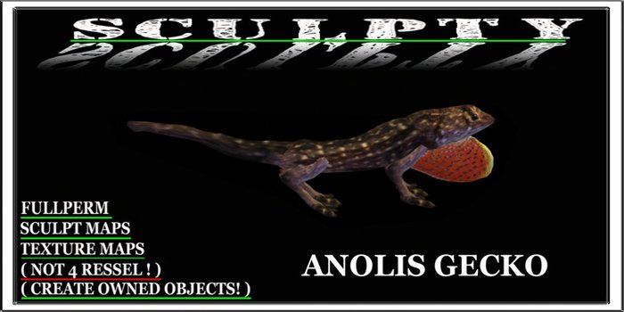 SCULPTY ANOLIS GECKO BOXED