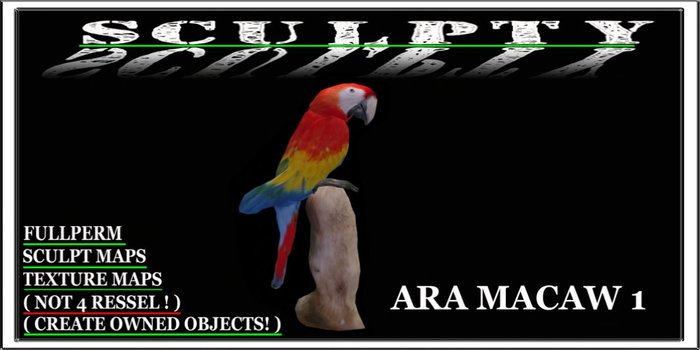 SCULPTY ARA 1 BOXED
