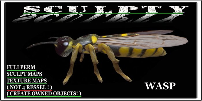 SCULPTY WASP BOXED