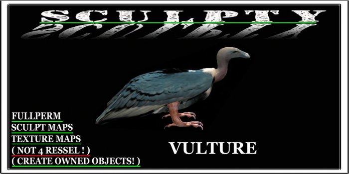 SCULPTY VOLTURE BOXED