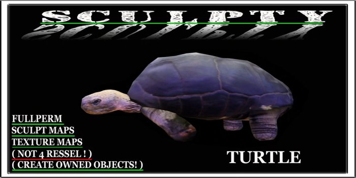 SCULPTY TURTLE BOXED
