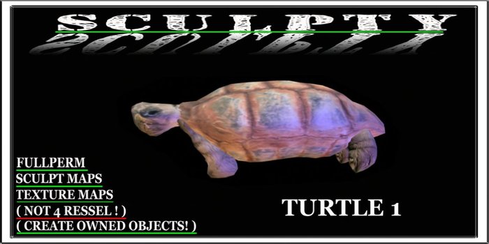 SCULPTY TURTLE 1 BOXED