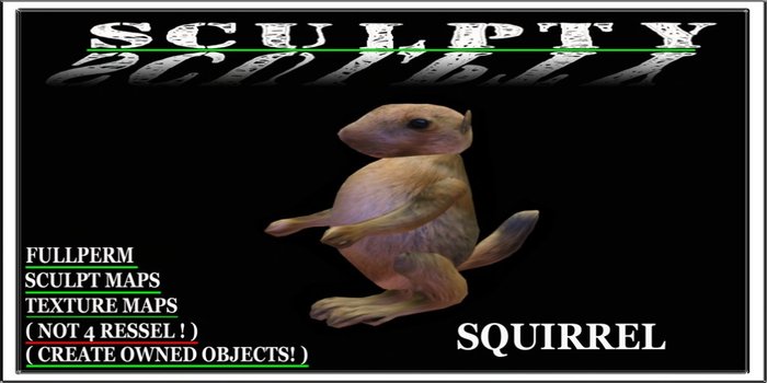 SCULPTY SQUIRREL BOXED