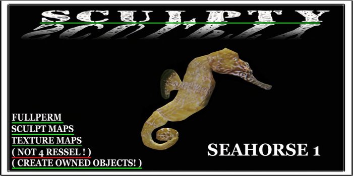 SCULPTY SEAHORSE 1 BOXED