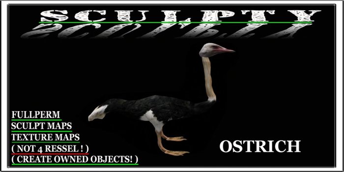 SCULPTY OSTRICH BOXED