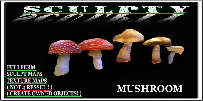 SCULPTY MUSHROOM BOXED