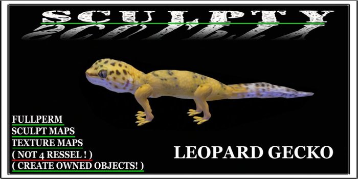 SCULPTY LEOPARD GECKO BOXED