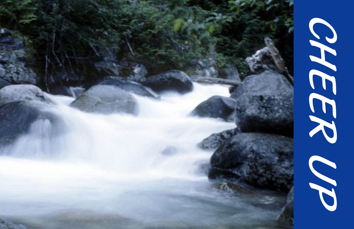 CHEER UP GREETING CARD