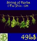 String of Herbs - 1 prim flat