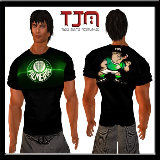 CAMISA2  PLAMEIRAS 2012 TJM
