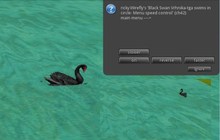 Black Swan Vrhnika flat tga prim swims in circle Menu speed control (boxed)