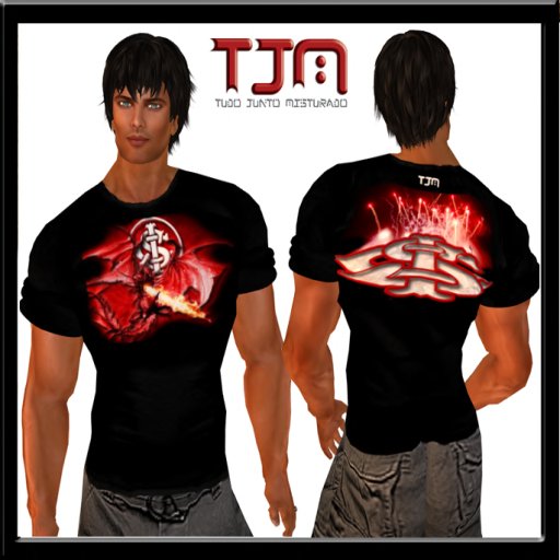 CAMISA INTERNACIONAL 2012 TJM