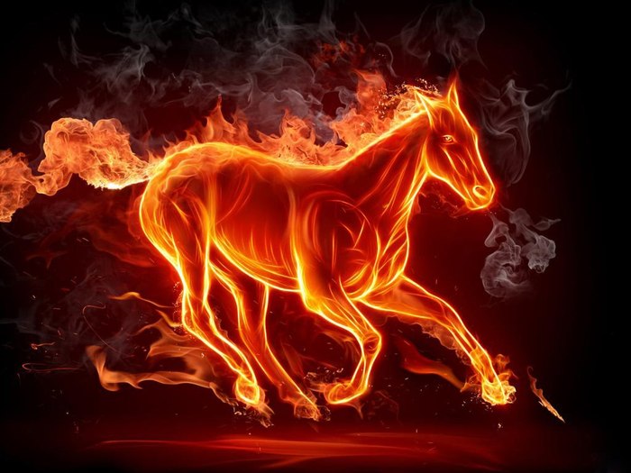 Fire Horse Photo
