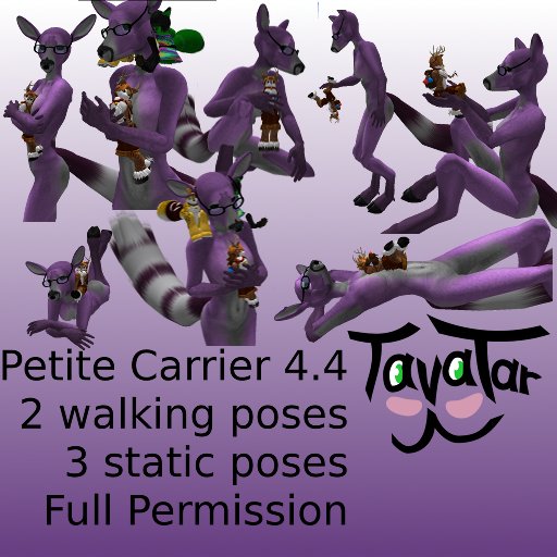 Petite Carrier