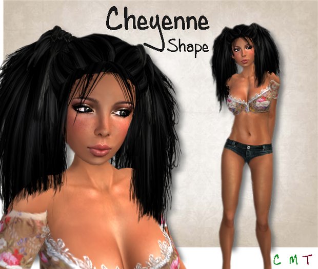 Harley Girl Cheyenne