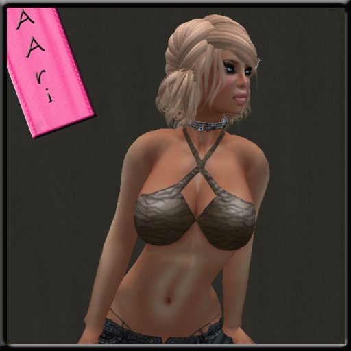 Aari Wild Summer Top..