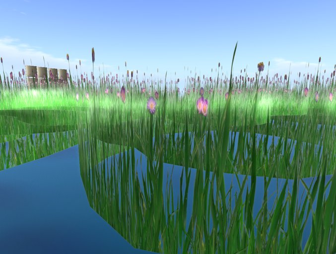 Violet Flowers+Grass 