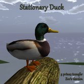 *ZG* Stationary Duck 