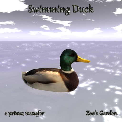 *ZG* Swimming Duck
