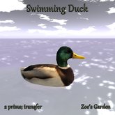 *ZG* Swimming Duck