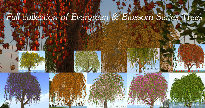 Crated Blossom & Evergreen Trees ( Full Pack)