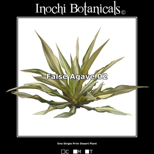 Inochi Botanicals - False Agave 02