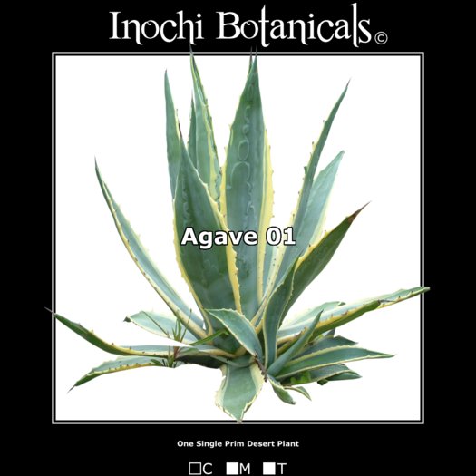 Inochi Botanicals - Agave 01