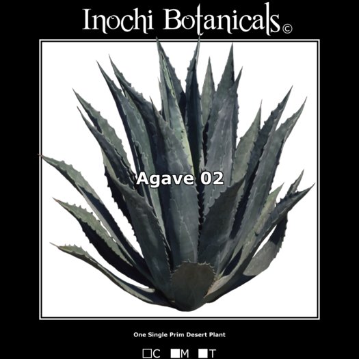 Inochi Botanicals - Agave 02