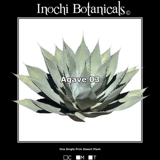 Inochi Botanicals - Agave 03