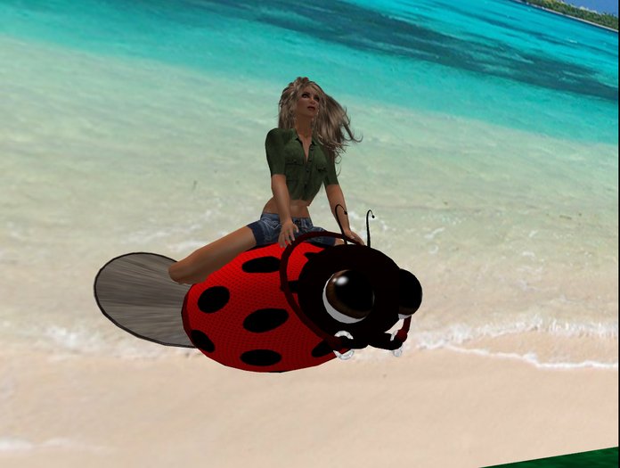 Dragonsfyre Ladybird RIDEABLE Ladybug ( wear me )