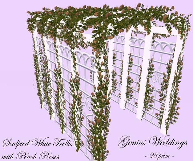 White Sculpted Trellis w Peach Roses