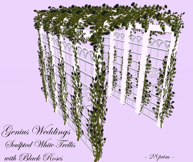 White Sculpted Trellis w Black Roses