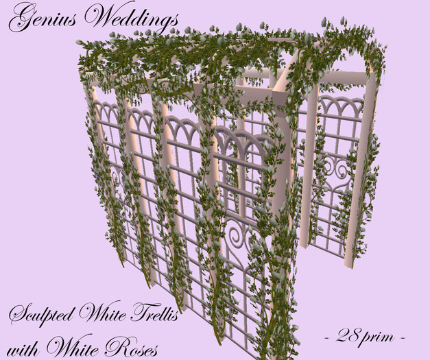 White Sculpted Trellis w White Roses