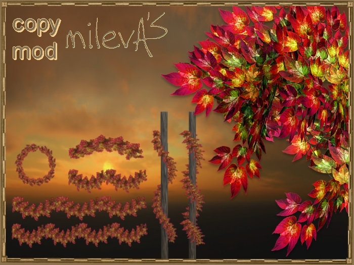 milevA's Vine Rory Home Set