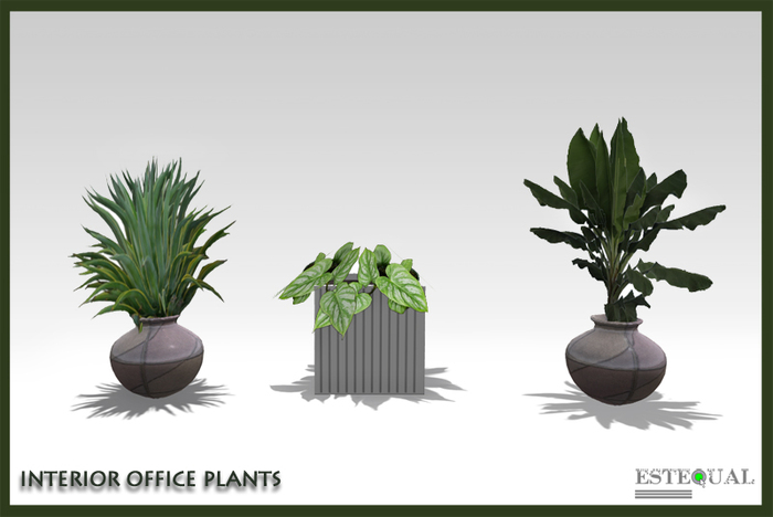 Office Interior Plants Set - Home and Garden Interior Plants MODIFY/TRANSFER