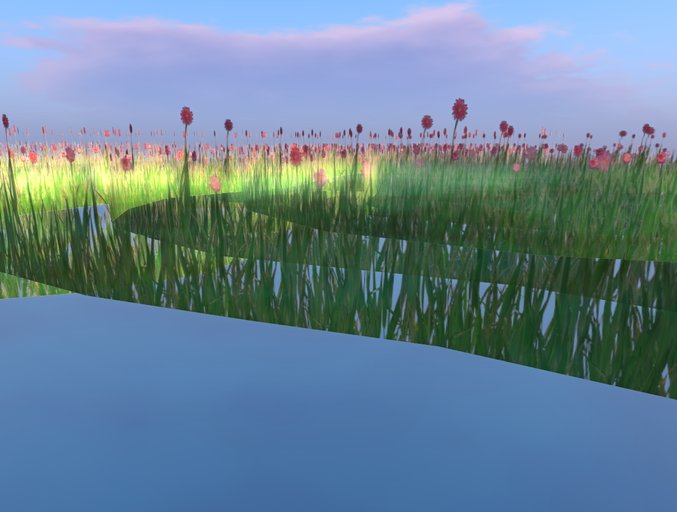 Pink Flowers+ Grass