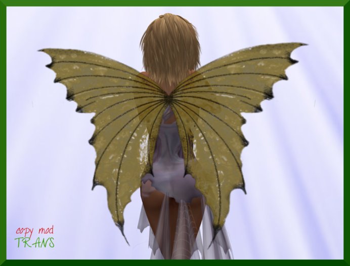CANDYFAE GOLD/BLACK  WINGS