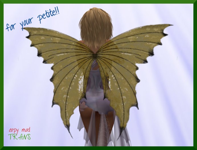 CANDYFAE GOLD/BLACK PETITE WINGS