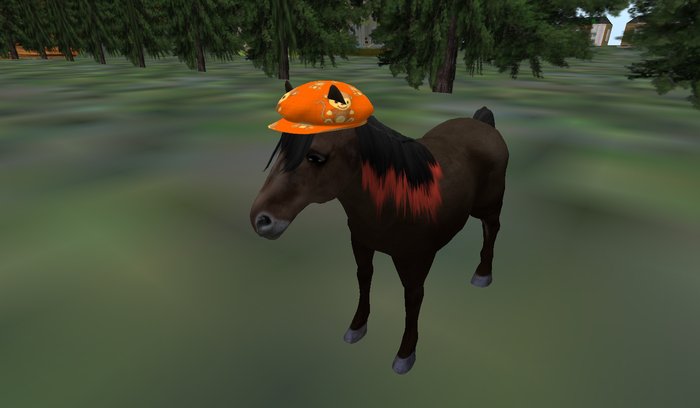 ..Ponie Hat Attachment- Monkey Orange