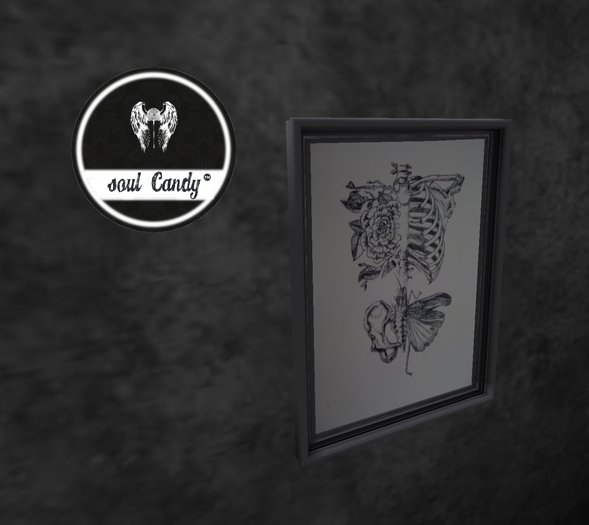 {Soul Candy} Humanity Meets Nature Framed (Boxed)