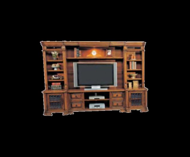 large entertainment w/ tv & books