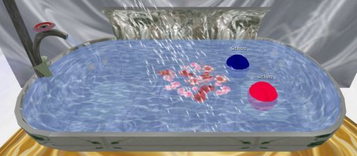 Dynamic Shower Bath Tub
