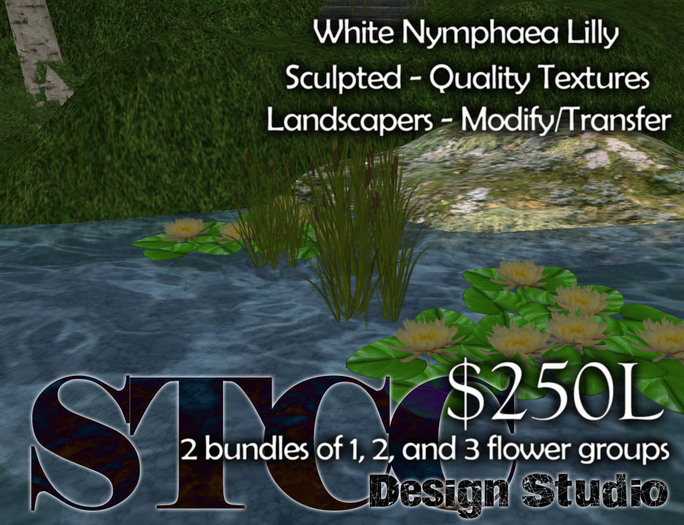 Blue Nymphaea (boxed)