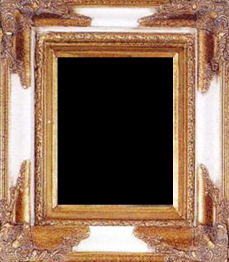 BSN 793 FRAME