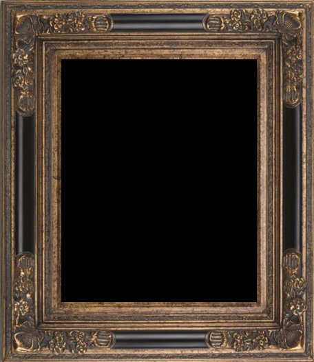BSN 994 FRAME