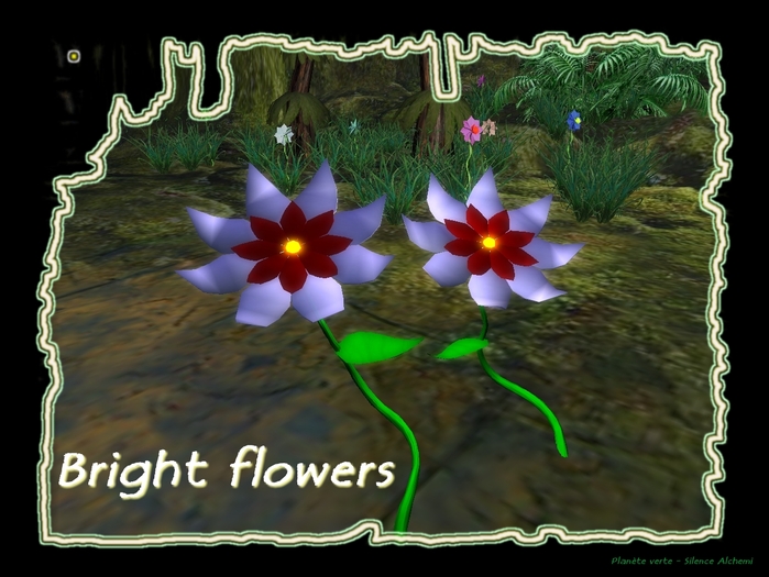 Elen bright flowers