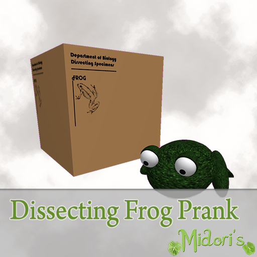 Dissecting Frog Prank