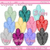 *CUPIDS* 20 FANCY FEATHERS TEXTURES